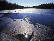 Keväinen järvi