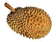 Durian-hedelm�