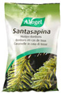 Santasapina