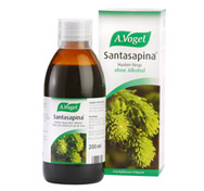 Santasapina