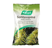Santasapina