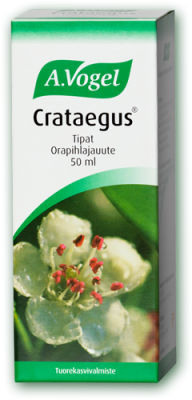 Crataegus