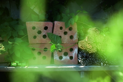 Lazy Gardener_170