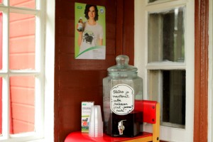 olga-molkosan-maistatus